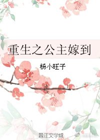 重生之公主嫁到